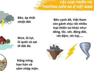 Phòng, chống thiên tai và những điều cần biết